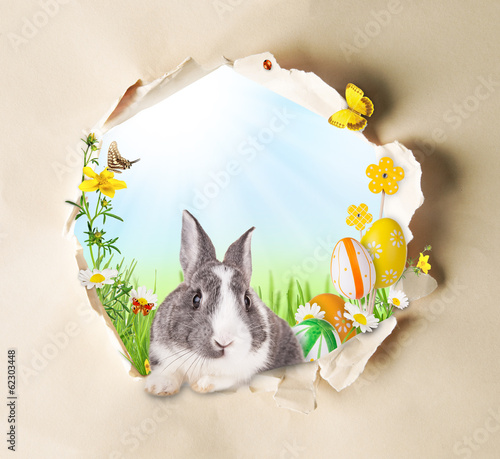 Fototapeta Naklejka Na Ścianę i Meble -  Spring concept with gappy paper and butterflies