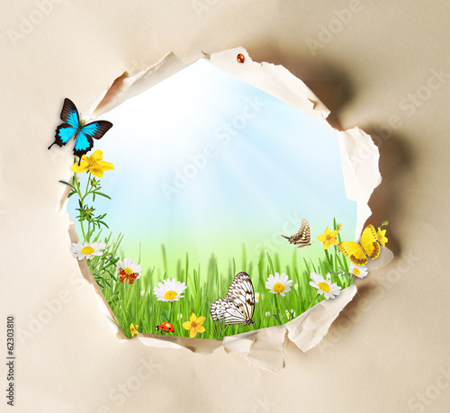 Fototapeta Naklejka Na Ścianę i Meble -  Spring concept with gappy paper and butterflies