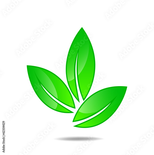 Fresh Leaf Vector