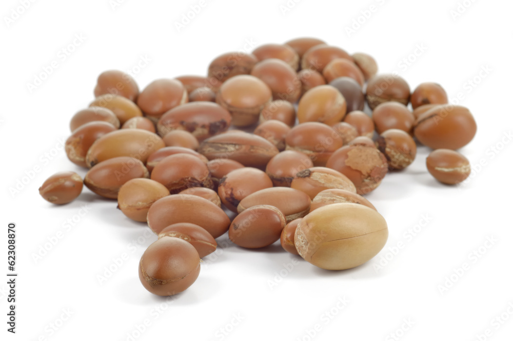 Group of argan nuts on white background. Group of argan nuts on white background.