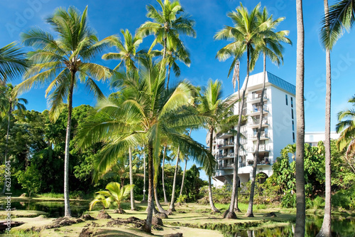 Luxury hotel on Hawaii with palms trees in background