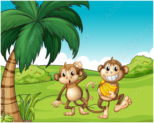 Happy monkeys at the hill with bananas