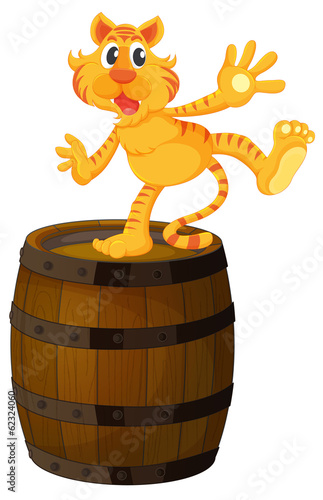 A tiger above the wooden barrel