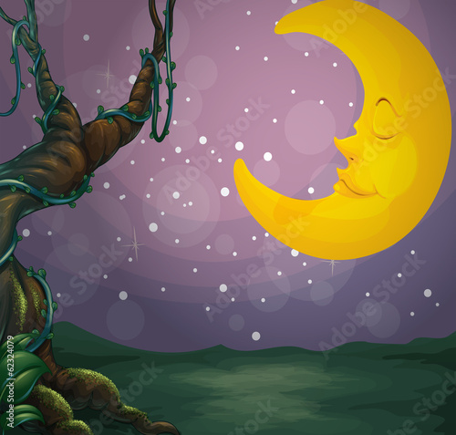 A giant tree and a sleeping moon