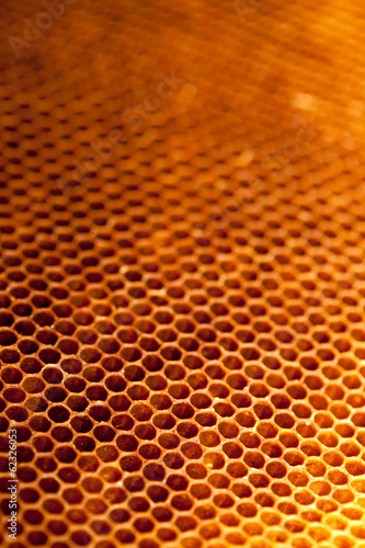 Honigwabe mit Honig und Bienenwachs