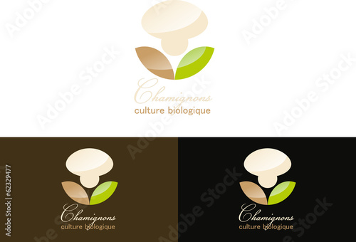 Chamipnon Champignons Pilze Pilzzucht Pilzhandel