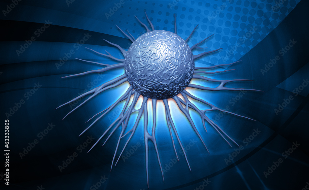 cancer cell cancer cell