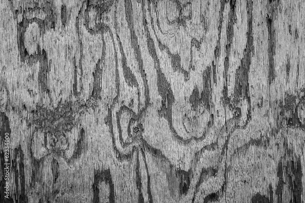 Abstract close up of peeling paint texture on wood Abstract close up of peeling paint texture on wood
