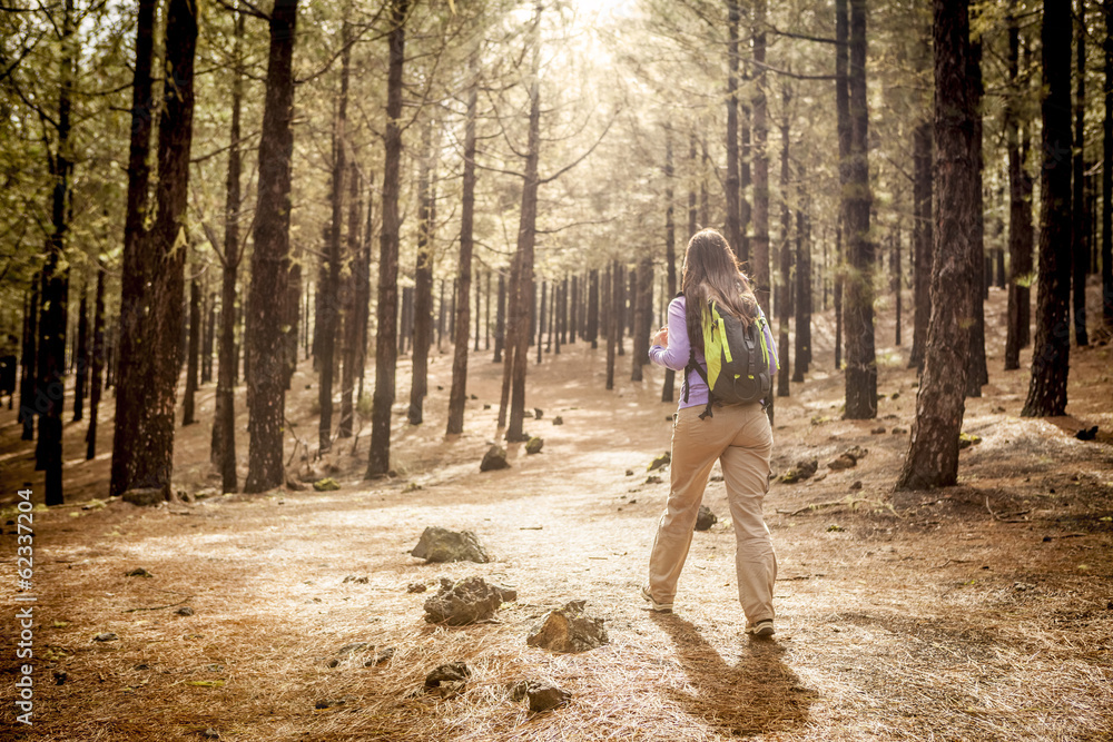 young woman hiking in a pine wood