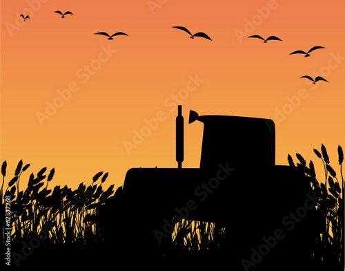Tractor Tyre Marks