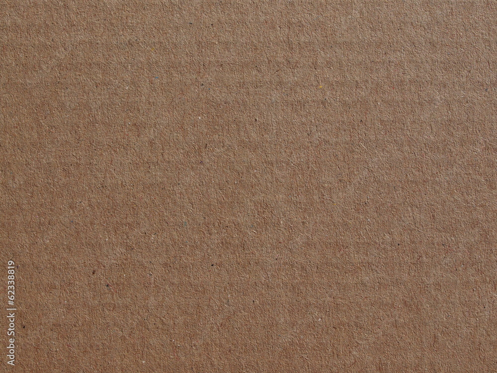 Fototapeta premium corrugated cardboard blank sheet
