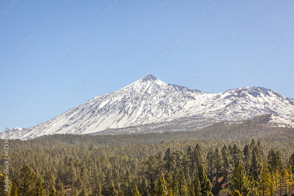 Fototapeta premium Beautiful scenic view of mount Teide national park in Tenerife,