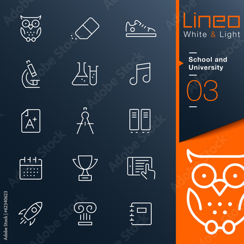 Lineo White & Light - School and University outline icons