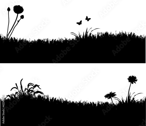 Wiese