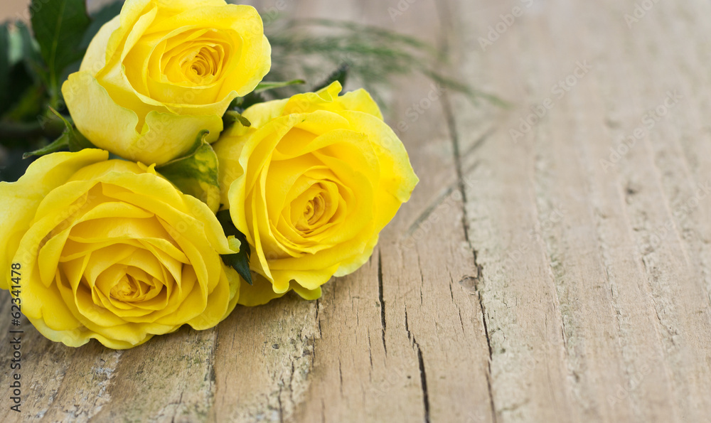 Fototapeta premium yellow roses