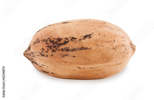 Pecan.