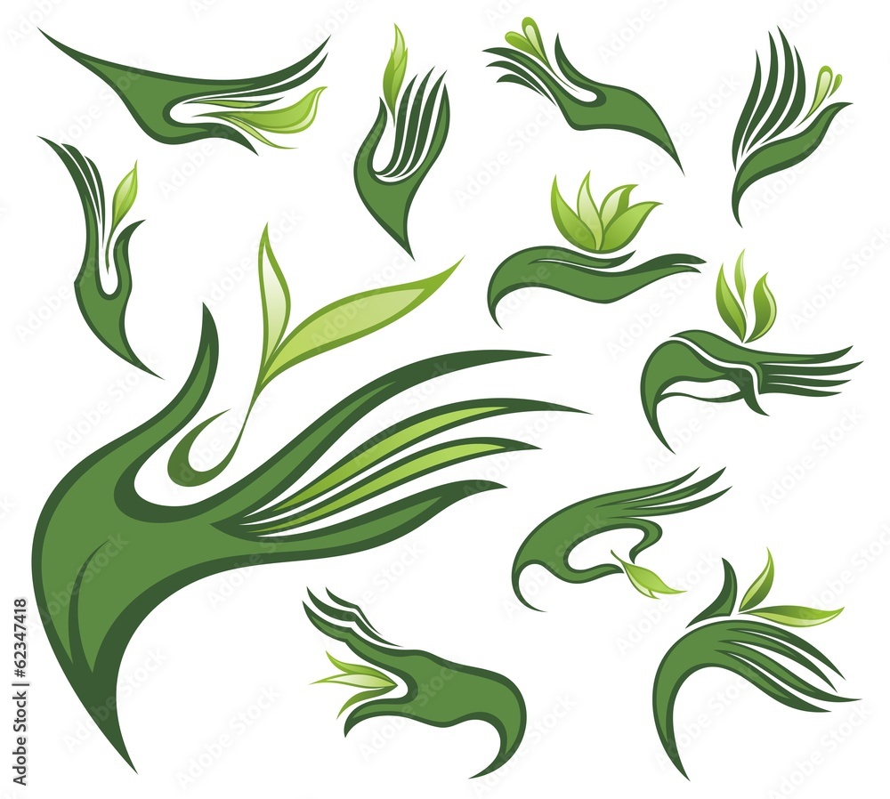 Hands with green leaves Hands with green leaves
