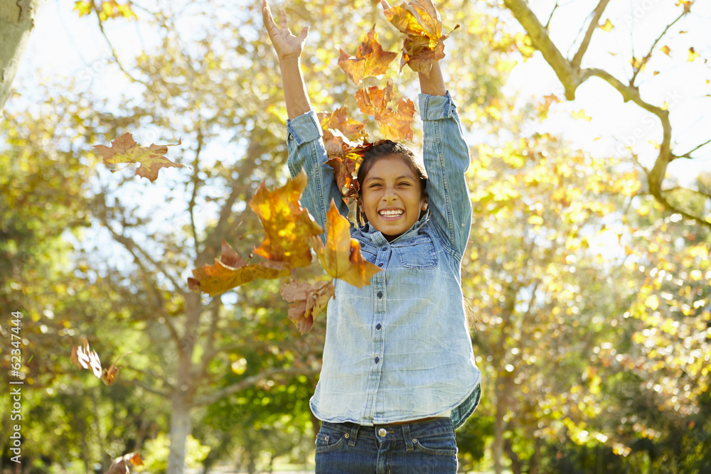Young Girl Throwing Autumn Leaves In The Air Young Girl Throwing Autumn Leaves In The Air