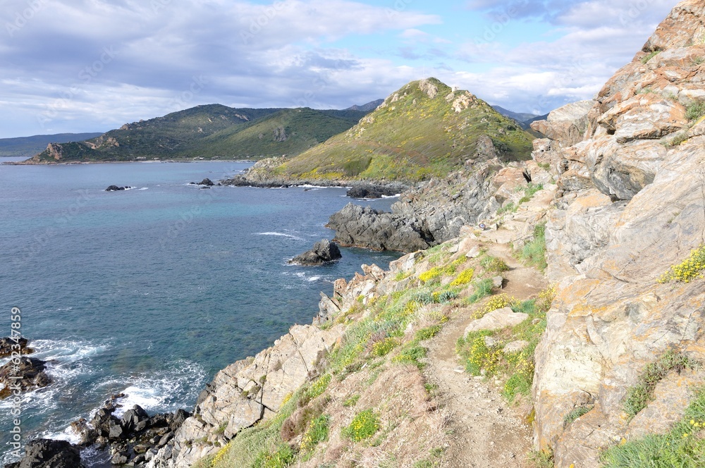 Fototapeta premium corse du sud