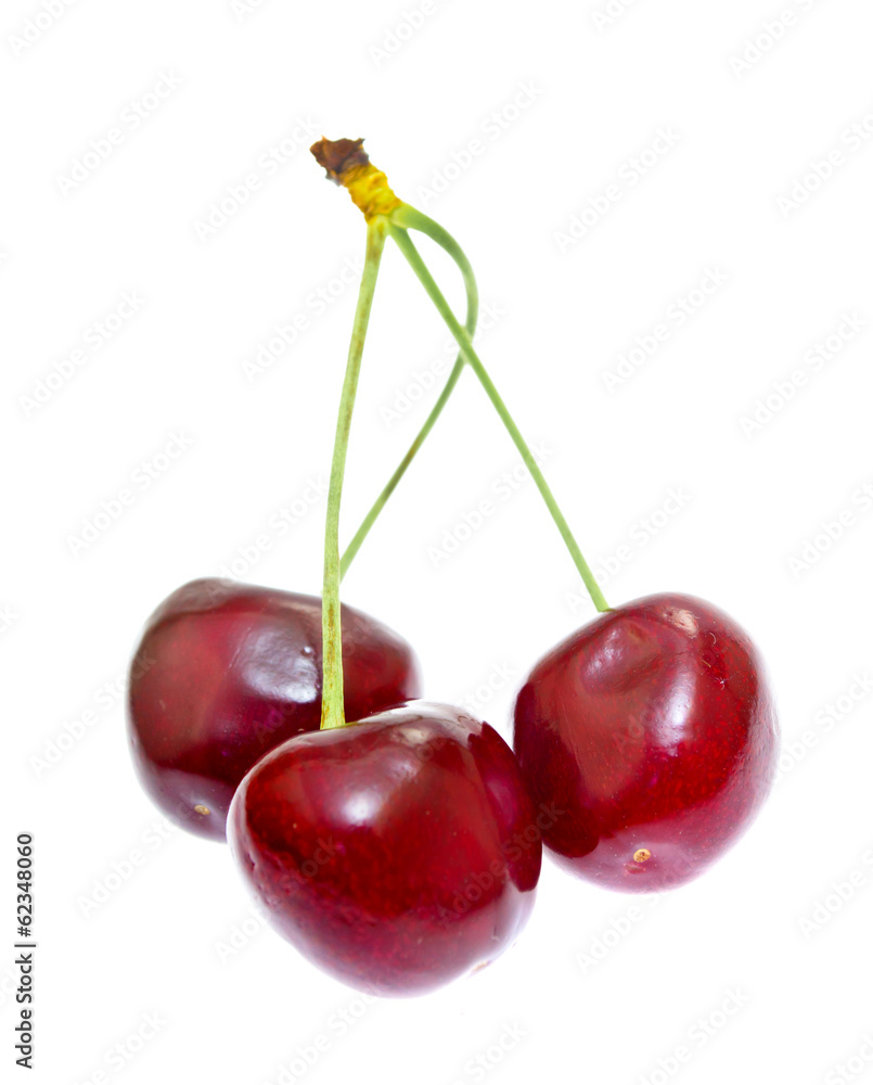 Sweet Cherry Background Isolated on White Background Sweet Cherry Background Isolated on White Background