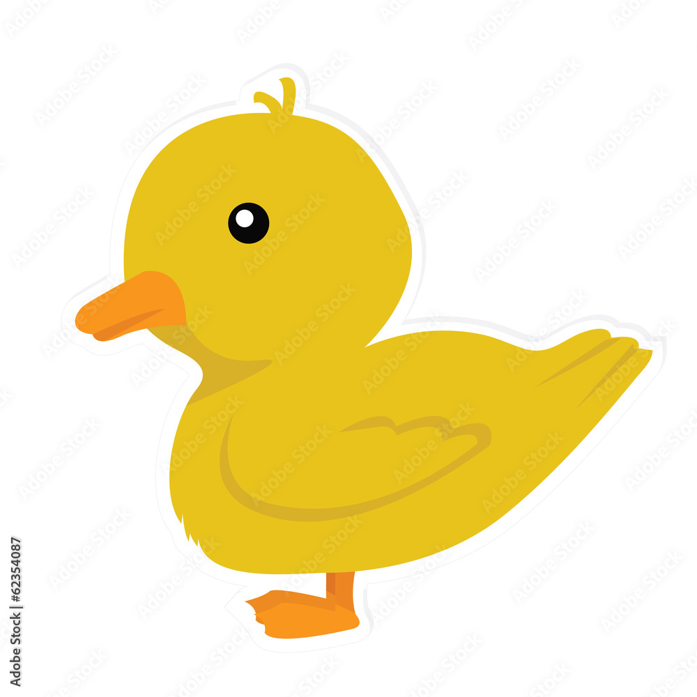 duck duck