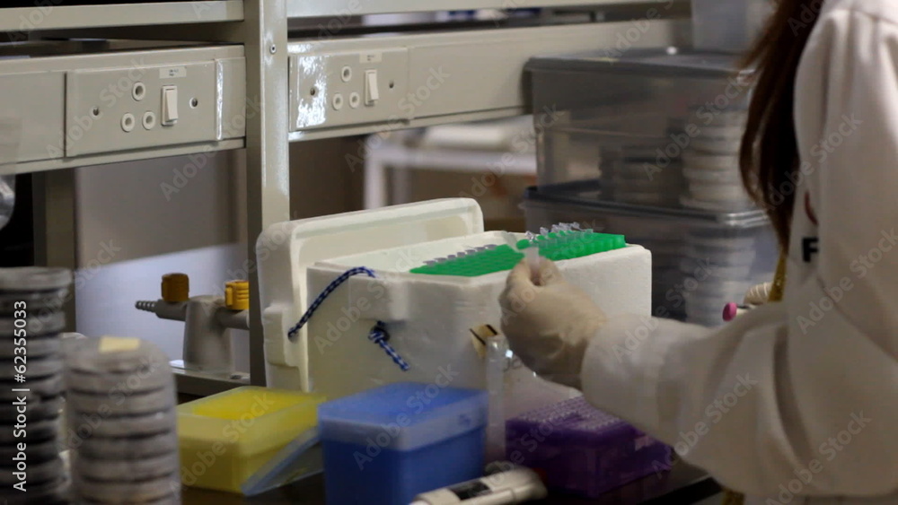 Women scientist working at the laboratory Women scientist working at the laboratory