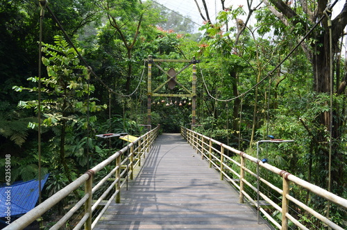 Bridge in Tropical Singapore