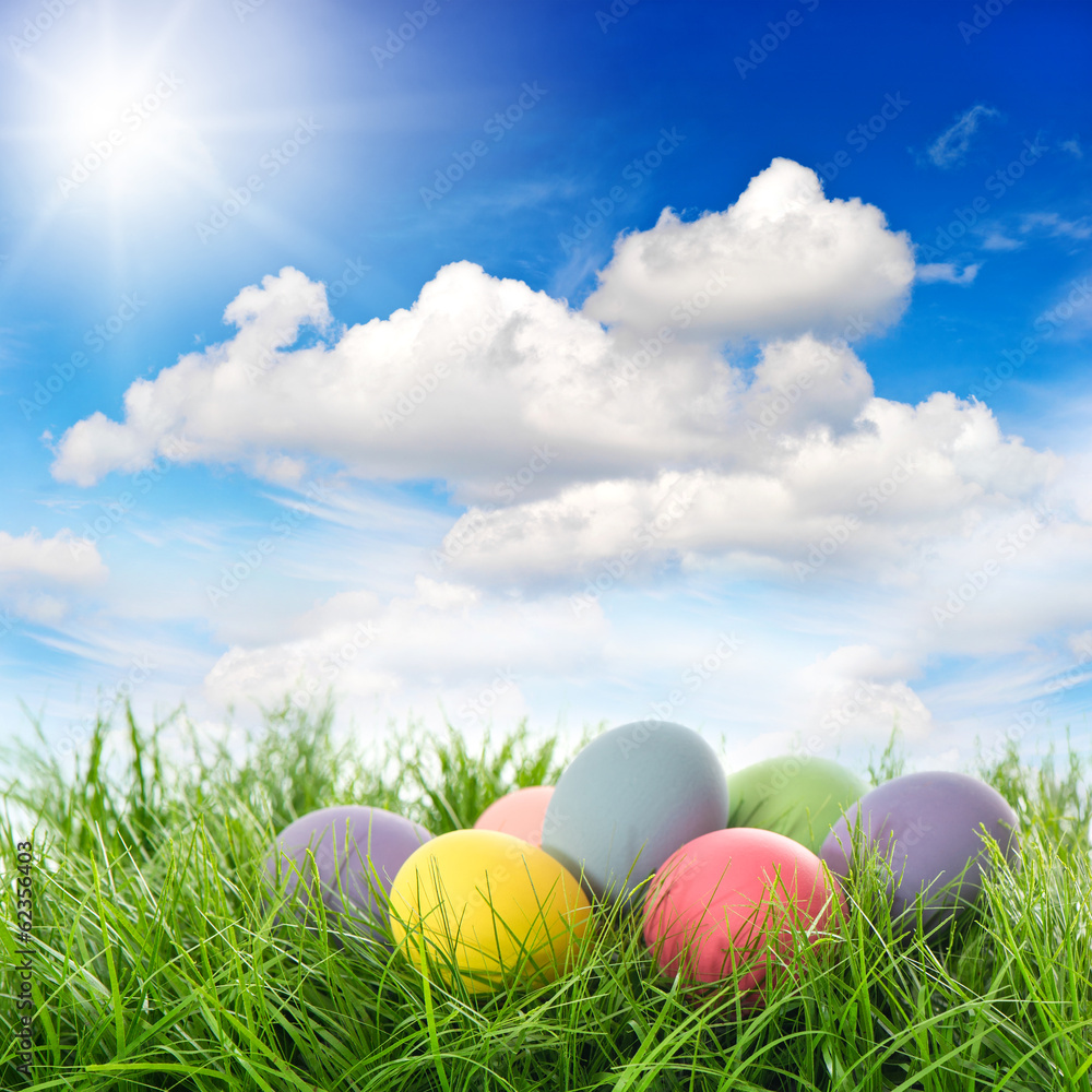 easter eggs in green grass. sunny blue sky - obrazy, fototapety, plakaty 