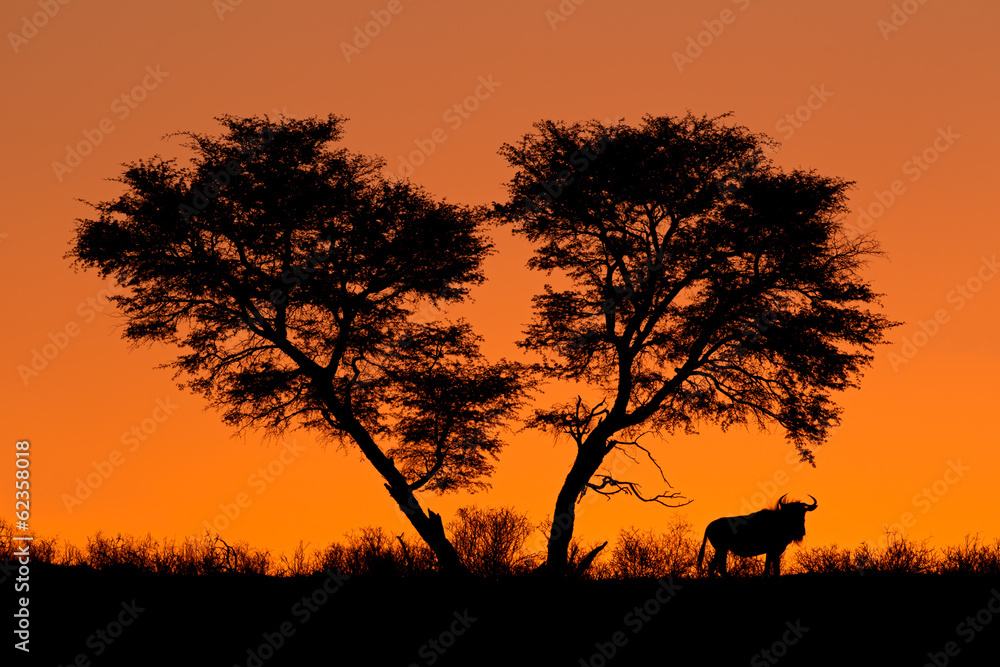 Tree and wildebeest silhouette, Kalahari