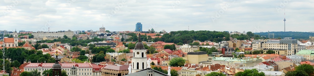 Vilnius Cathedral belfry and old town panorama