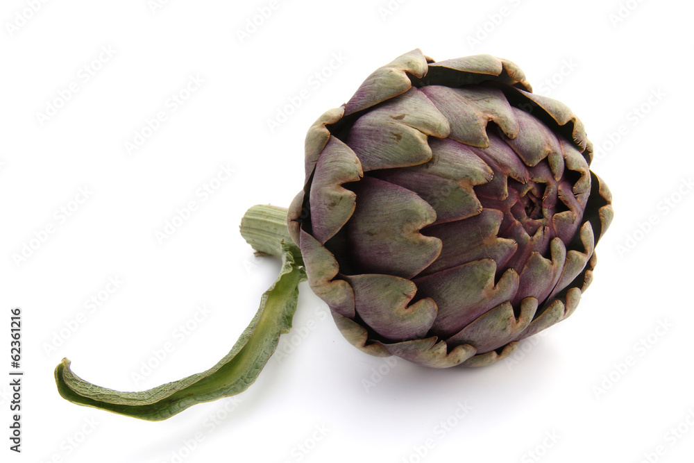 Fototapeta premium artichaut
