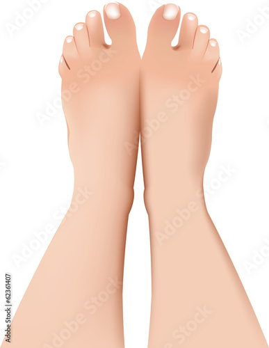 gambe