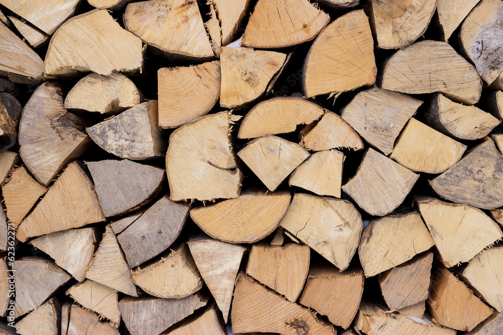 Pile of wood logs ready for winter Pile of wood logs ready for winter