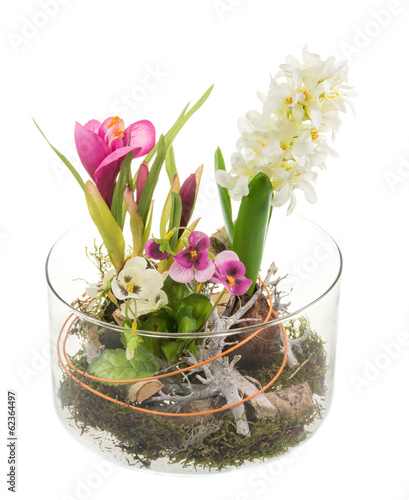 Fototapeta Naklejka Na Ścianę i Meble -  Spring Deco