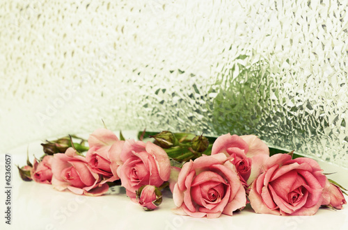 Pink rose flowers and  text...