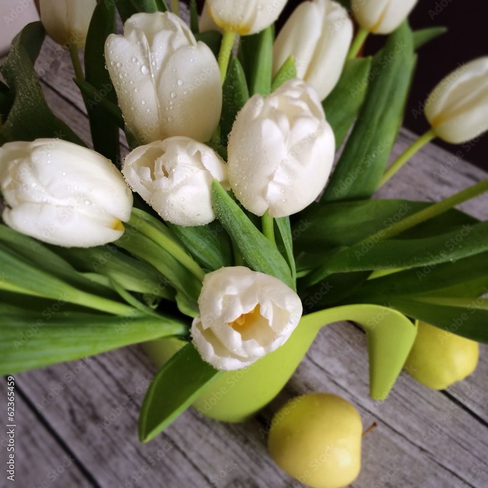 Fototapeta premium White tulips