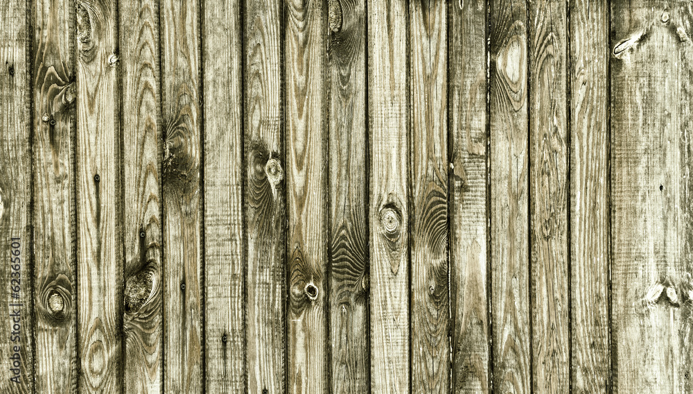 Fototapeta premium The wood texture with natural patterns