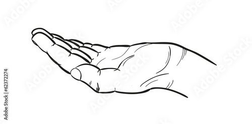 sketch of the hand