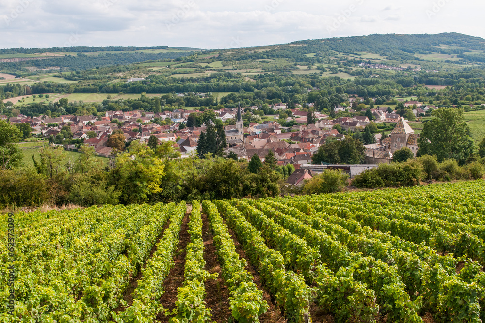 Vignoble et village de Santenay en Bourgogne