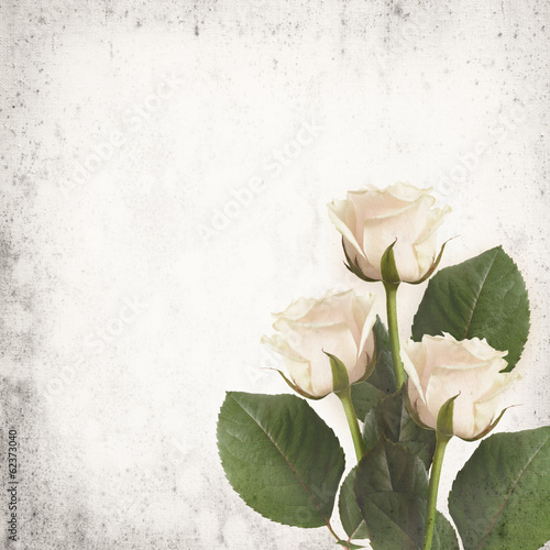White roses on vintage back...