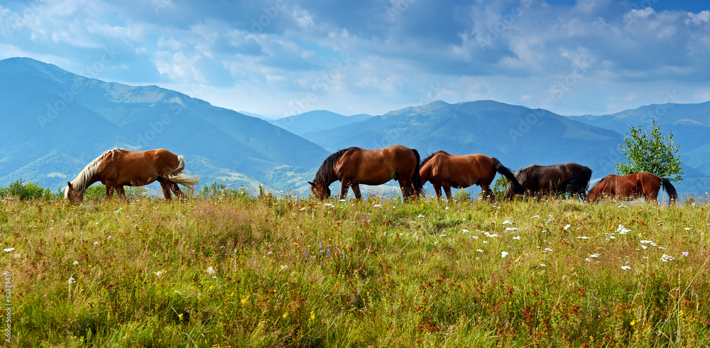 Naklejka premium Horse on a background of mountain