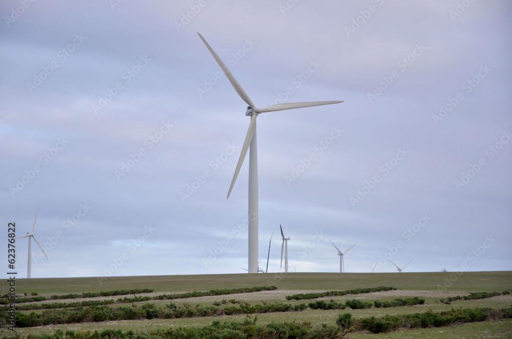 Wind Farm on a Rainy Day Wind Farm on a Rainy Day