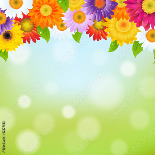 Fototapeta Naklejka Na Ścianę i Meble -  Color Gerbers Flower Frame