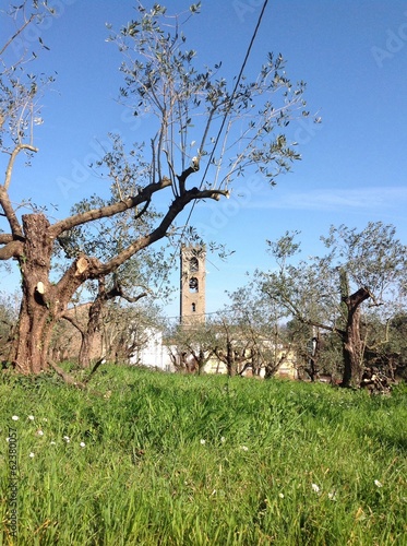 Campagna toscana photo