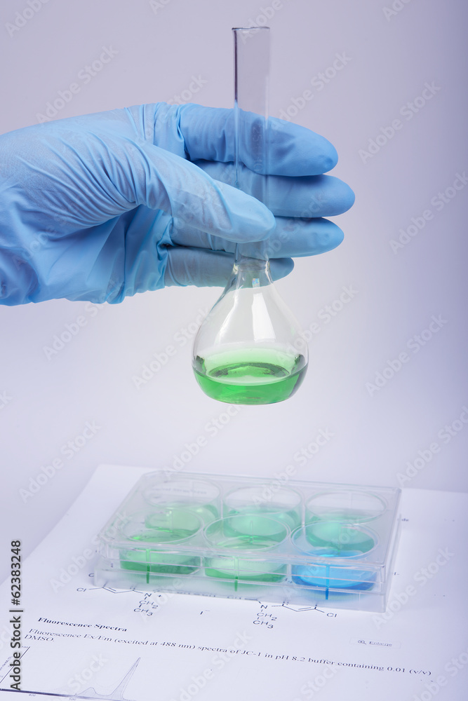 Fototapeta premium cell cultures in biomedical research laboratory