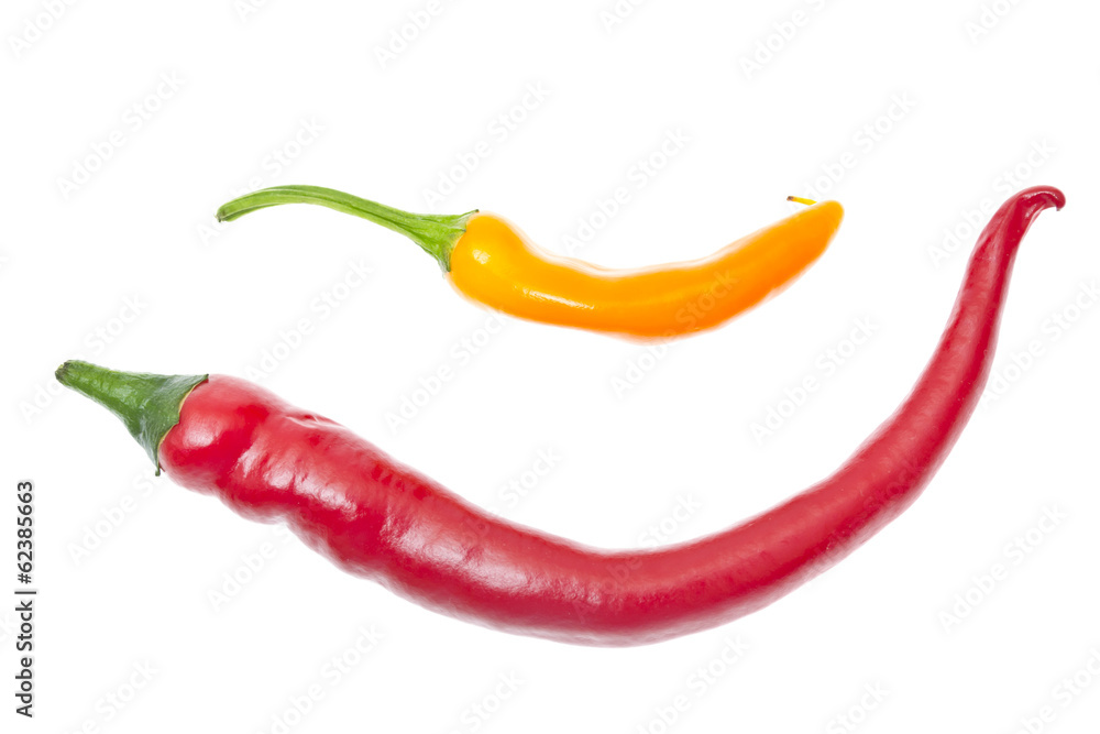 Fresh Colorful Hot Chili Pepper on White