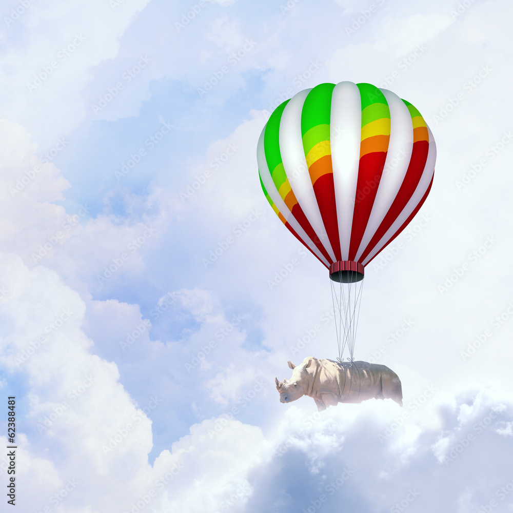 Fototapeta premium Latający nosorożec