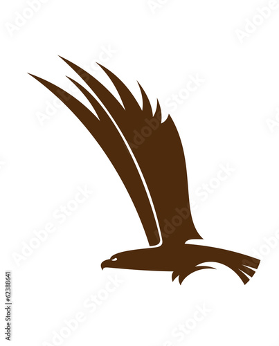 Flying falcon or hawk