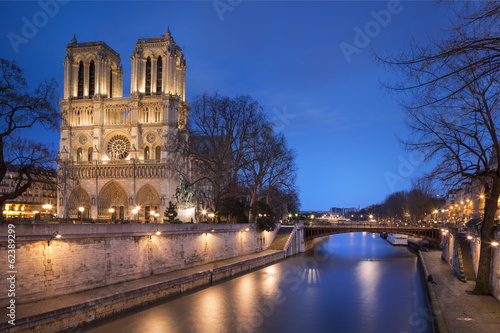 Cathédrale Notre dame de paris © PUNTOSTUDIOFOTO Lda
