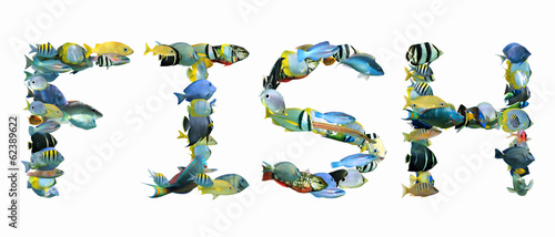 Photography Word FISH composed from tropical fish isolated